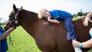 horse 2